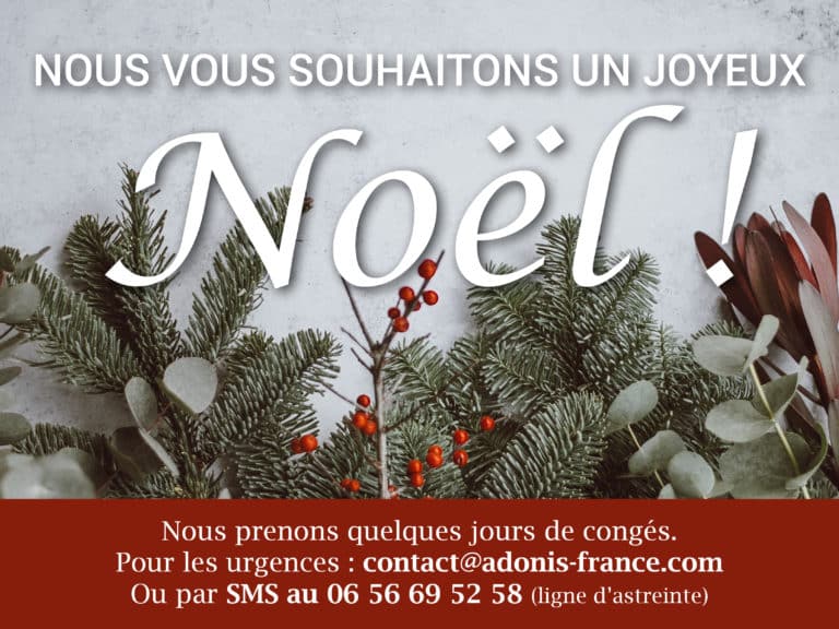 Expert gestion des nuisibles : dératisation, punaises de lit