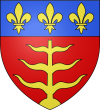 Blason_ville_fr_Montauban_Tarn-et-Garonne-adonis-france.png