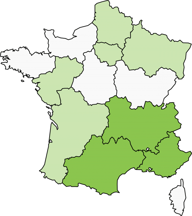Expert gestion des nuisibles : dératisation, punaises de lit