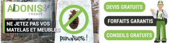 Expert gestion des nuisibles : dératisation, punaises de lit