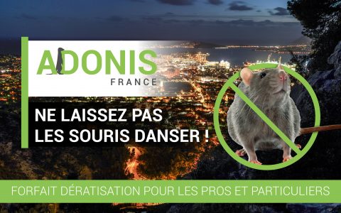 Deratisation-rongeurs-Adonis-France
